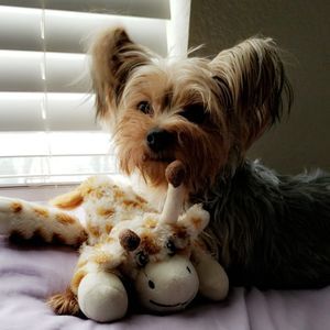 Meet your Posher, Jenny